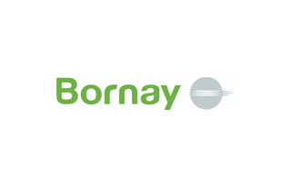 Logo Bornay - Ruano Energía